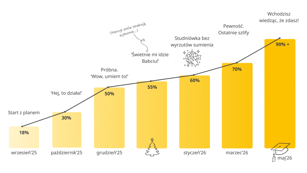 strona www wykres (1920 x 1080 px) zolty v1